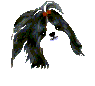 V[Y[